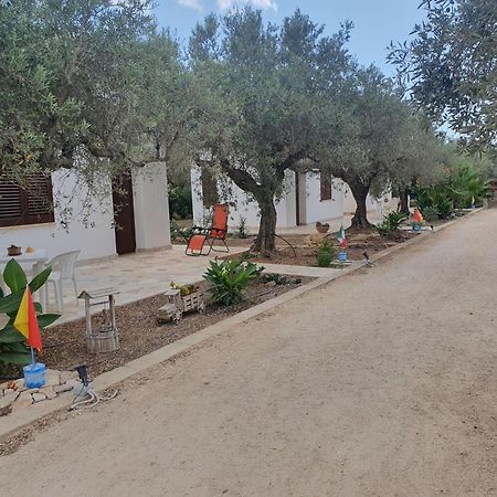 Agrisicilia Guest House Marinella di Selinunte Rom bilde